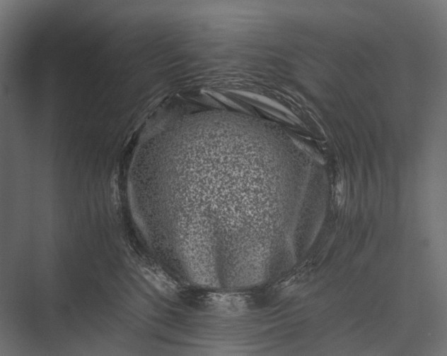 X0000076050520200610061513