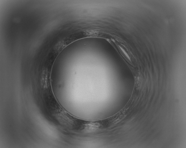 X0000076050525200610061513
