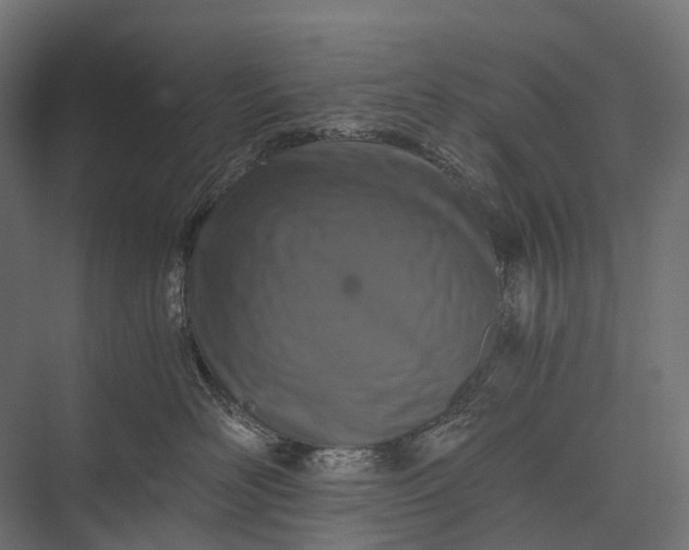 X0000076050526200610061513