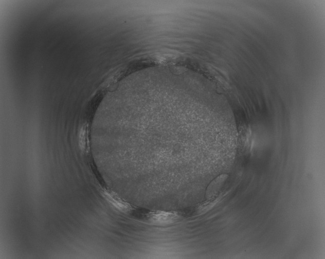 X0000076050527200610061513