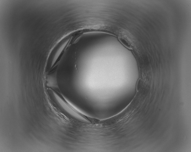 X0000076050532200610061512