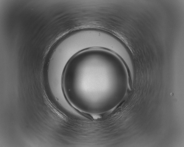 X0000076050535200610061512