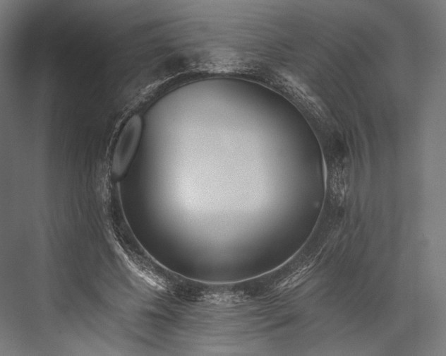 X0000076050540200610061513
