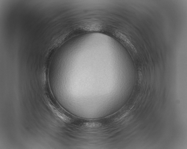 X0000076050541200610061513