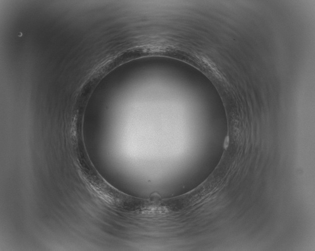 X0000076050543200610061513