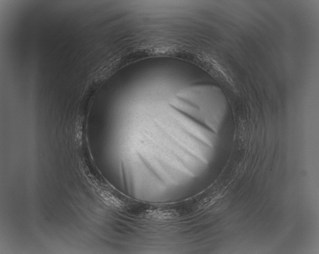 X0000076050545200610061513