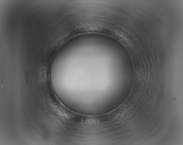 X0000076050546200610061513