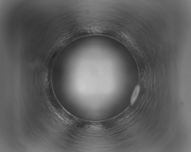 X0000076050548200610061513