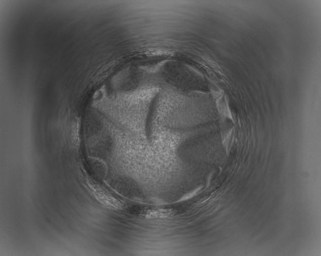 X0000076050550200610061513