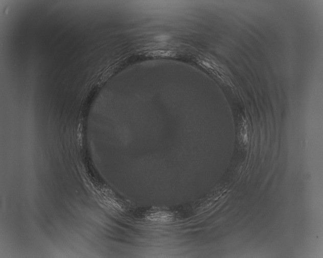 X0000076050551200610061513