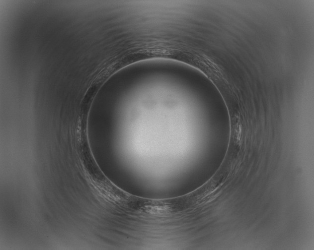X0000076050552200610061513