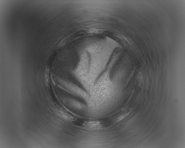 X0000076050554200610061513