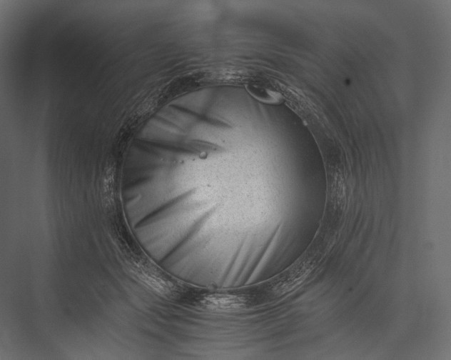 X0000076050557200610061513