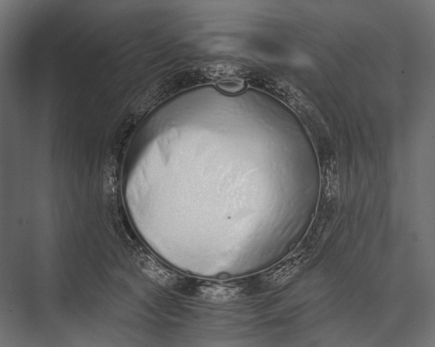 X0000076050561200610061513