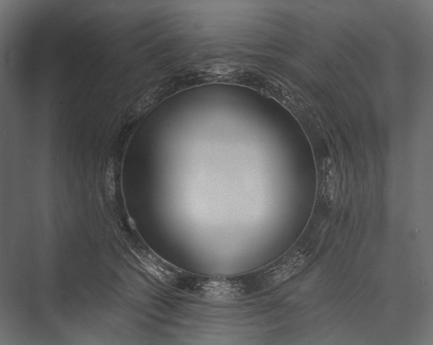 X0000076050562200610061513
