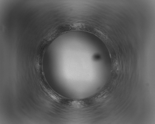 X0000076050566200610061513