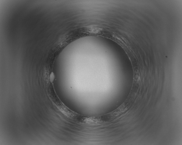 X0000076050568200610061513