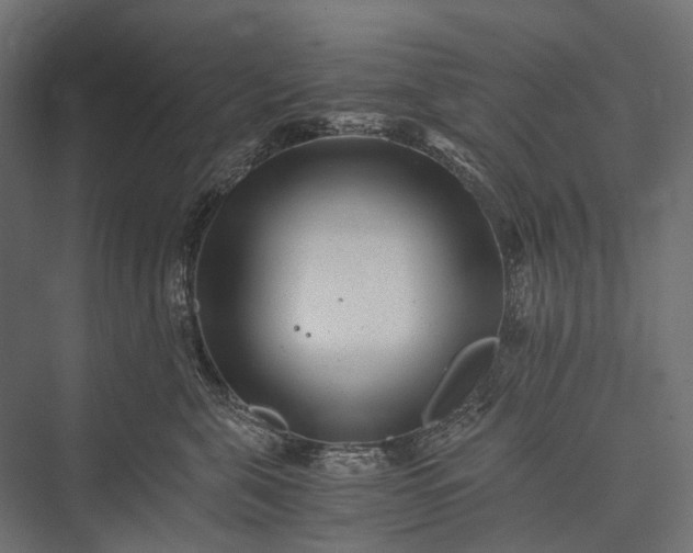 X0000076050571200610061513