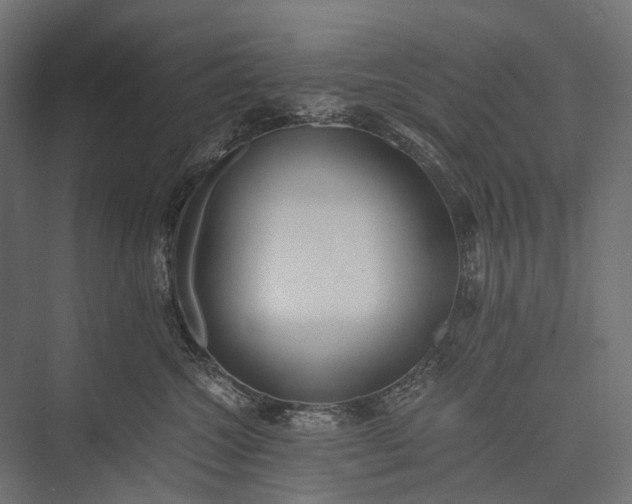 X0000076050572200610061513