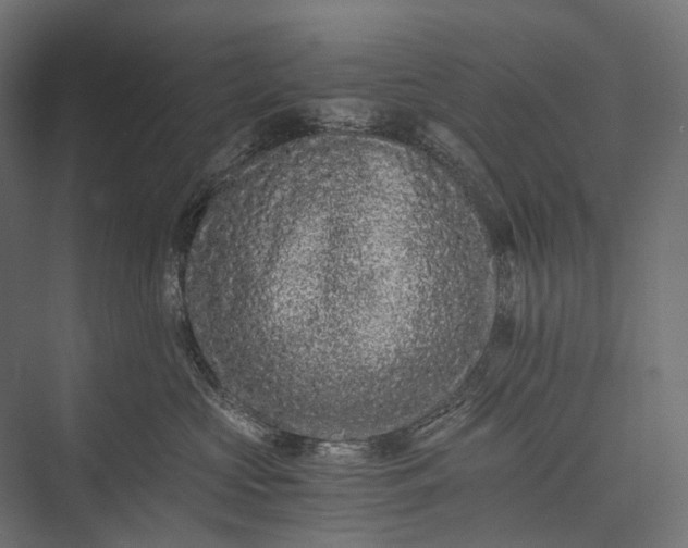 X0000076050573200610061513