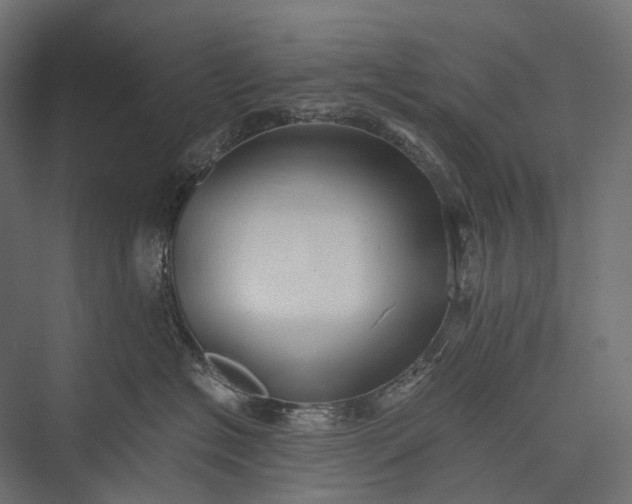 X0000076050574200610061513