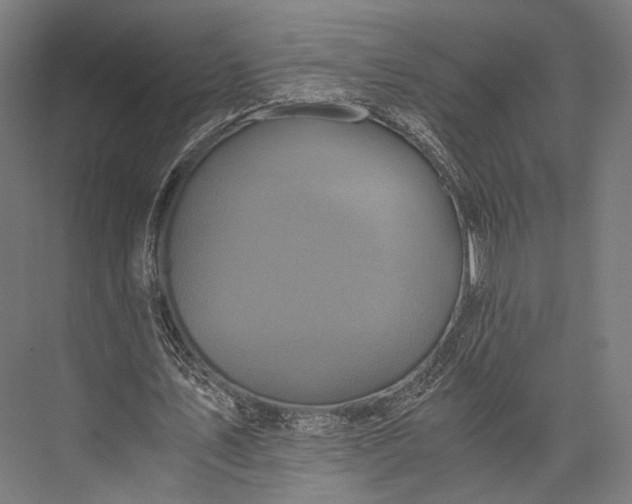 X0000076050579200610061512