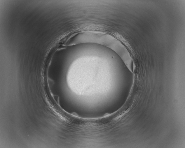 X0000076050581200610061512