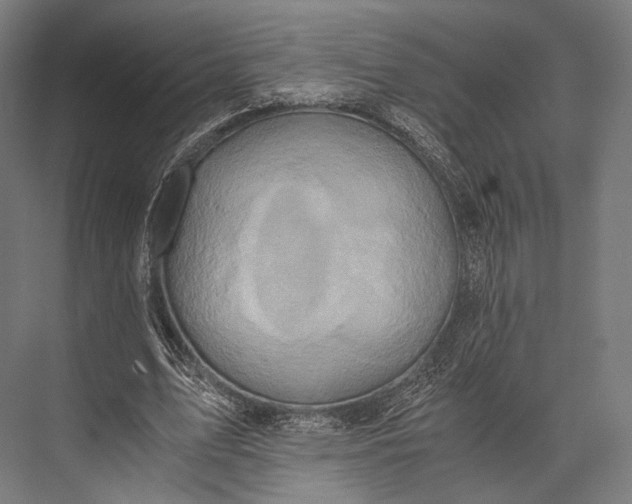 X0000076050583200610061512