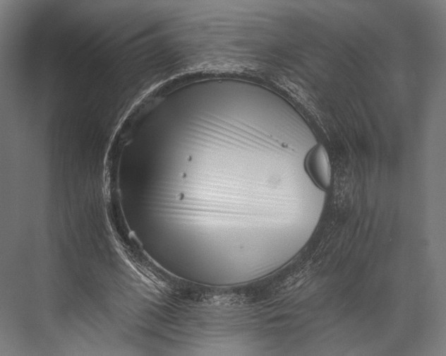 X0000076050584200610061512