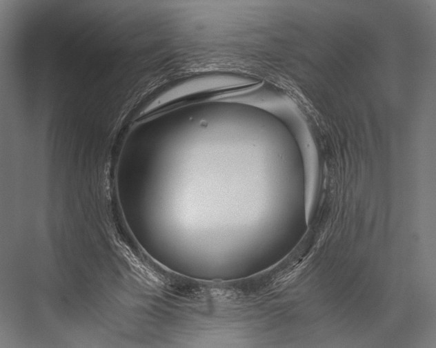 X0000076050585200610061512