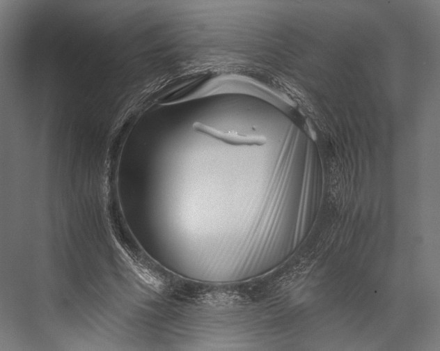 X0000076050586200610061512
