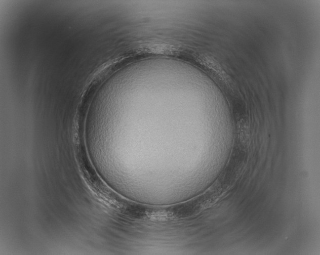 X0000076050587200610061512