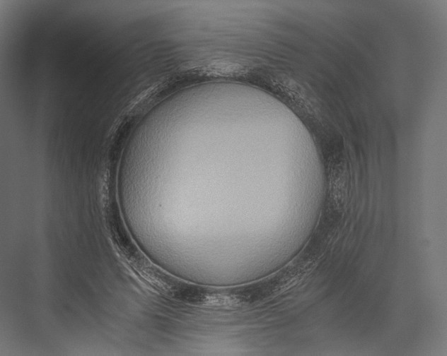 X0000076050591200610061512