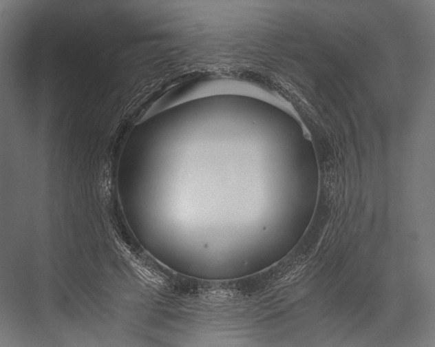 X0000076050593200610061512