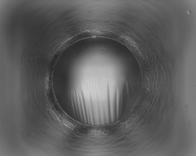 X0000076050596200610061512