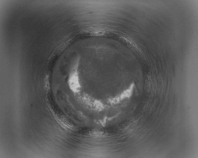X0000076050598200610061512