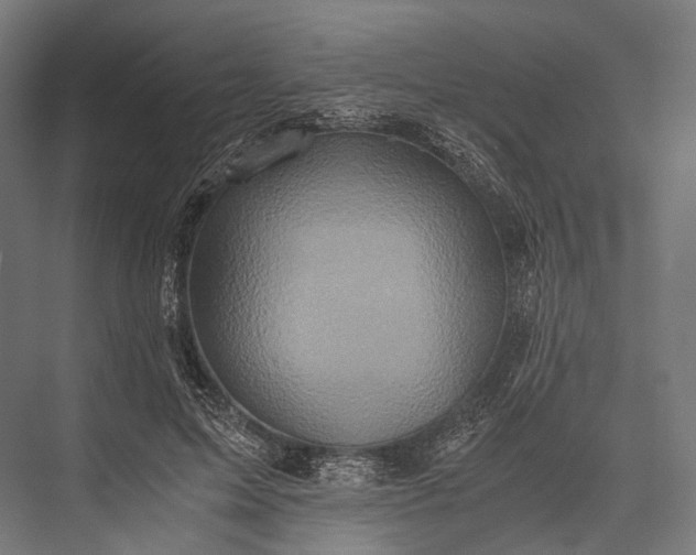 X0000076050599200610061512