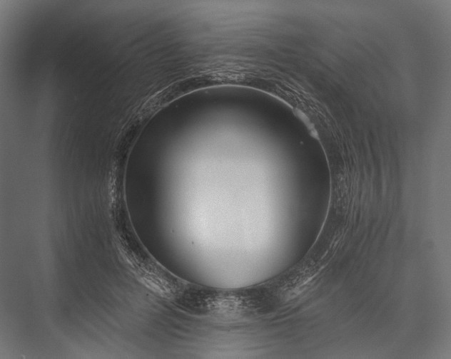 X0000076050600200610061512