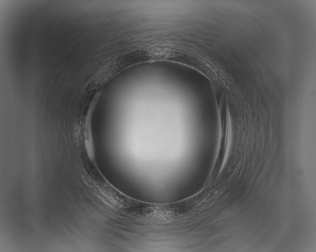 X0000076050601200610061512