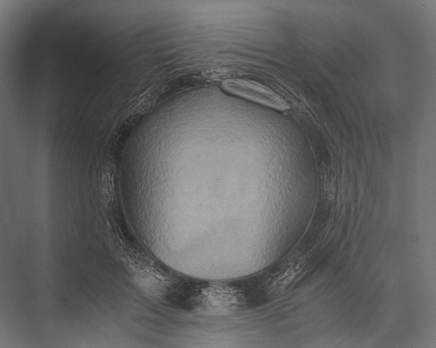 X0000076050603200610061512