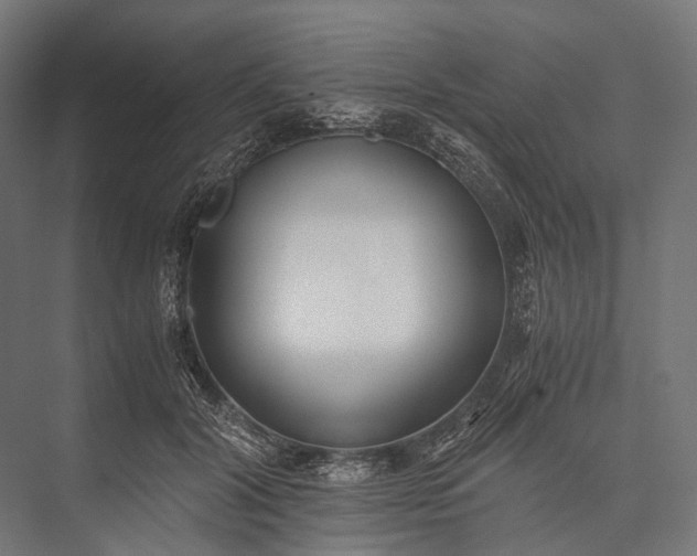 X0000076050604200610061512