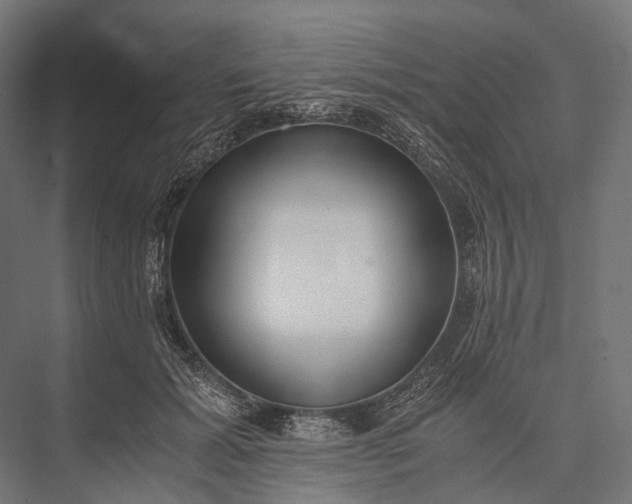 X0000076050605200610061512