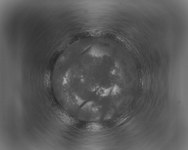 X0000076050610200610061512