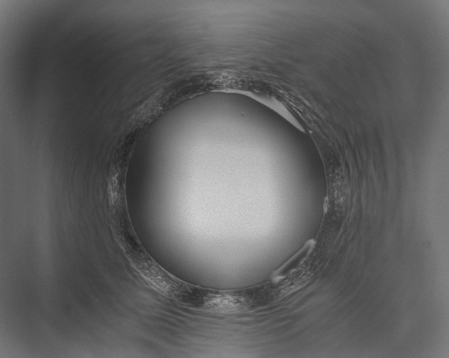 X0000076050611200610061512