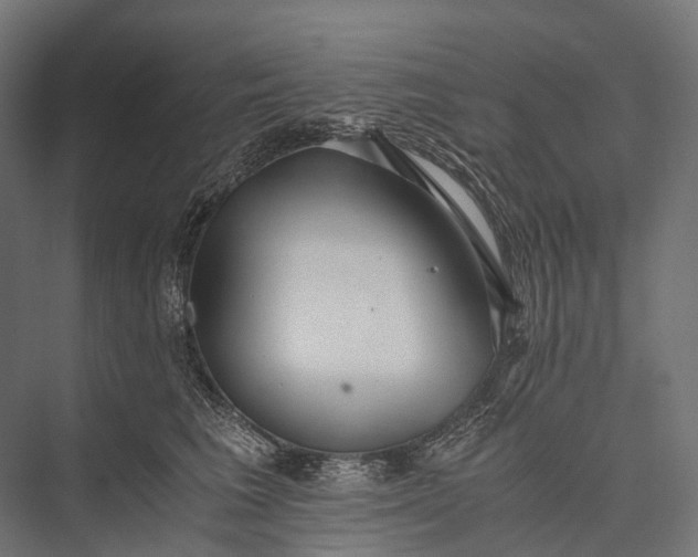 X0000076050613200610061512