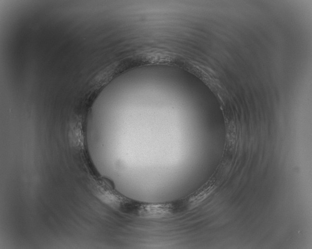 X0000076050622200610061512