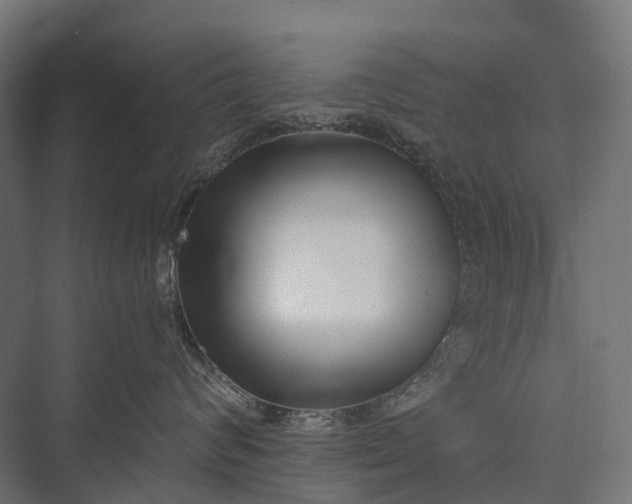 X0000076050624200610061512