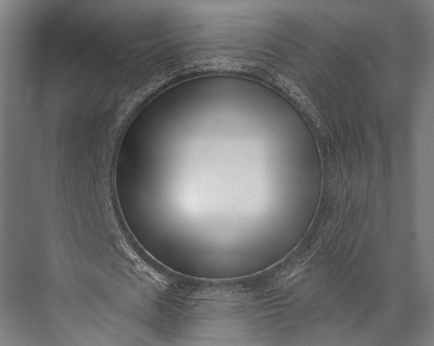 X0000076050625200610061511