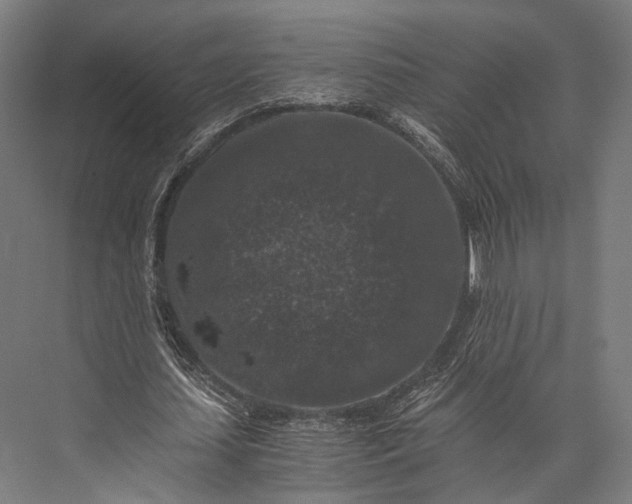 X0000076050627200610061511