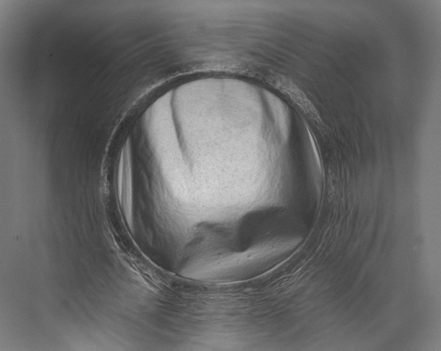 X0000076050628200610061511